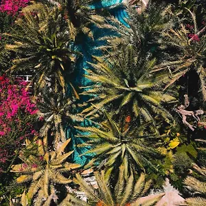 Flamingo & - Pet Friendly Hotel Ölüdeniz